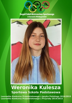 2015 kulesza