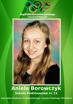 2014 borowczyk